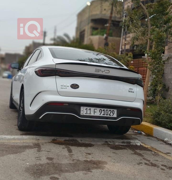 بي واي دي سيل 6
